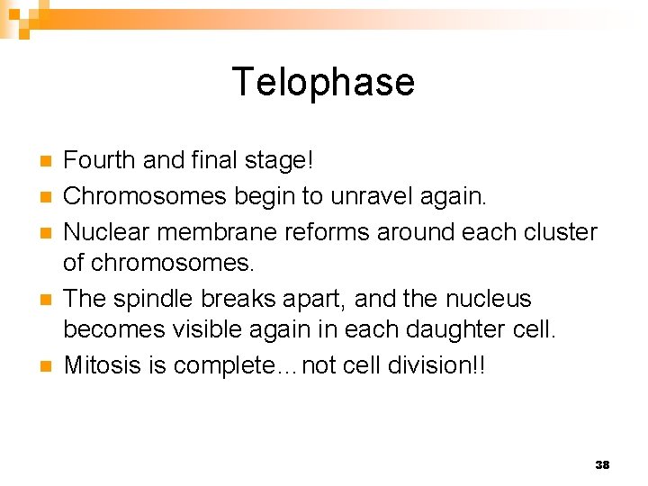 Telophase n n n Fourth and final stage! Chromosomes begin to unravel again. Nuclear