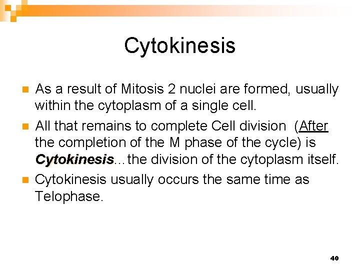 Cytokinesis n n n As a result of Mitosis 2 nuclei are formed, usually