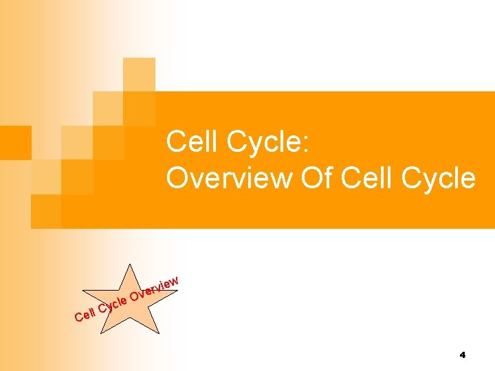 Cell Cycle: Overview Of Cell Cycle w le yc C l l Ce rvie