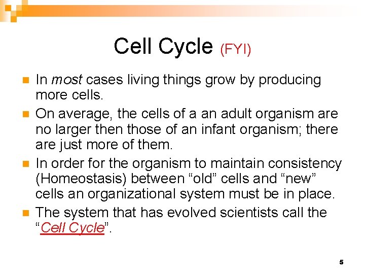 Cell Cycle (FYI) n n In most cases living things grow by producing more