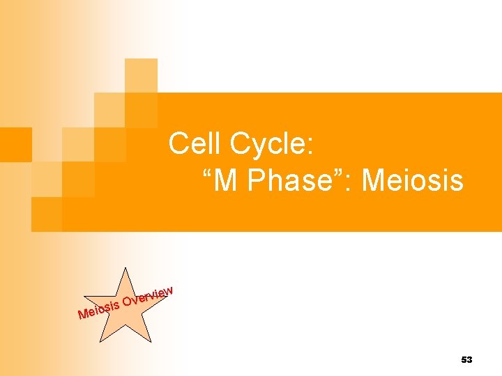 Cell Cycle: “M Phase”: Meiosis ew ervi v O is s Meio 53 