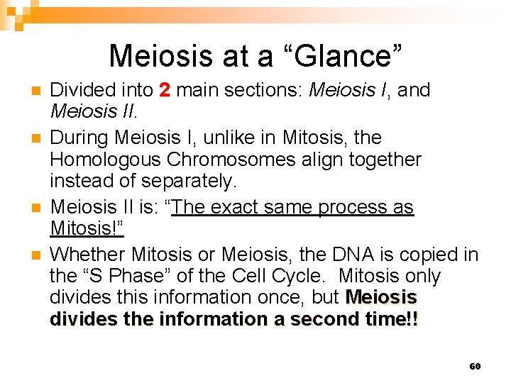Meiosis at a “Glance” n n Divided into 2 main sections: Meiosis I, and