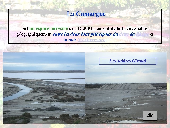 La Camargue est un espace terrestre de 145 300 ha au sud de la