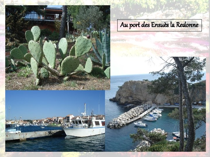 Au port des Ensuès la Redonne 