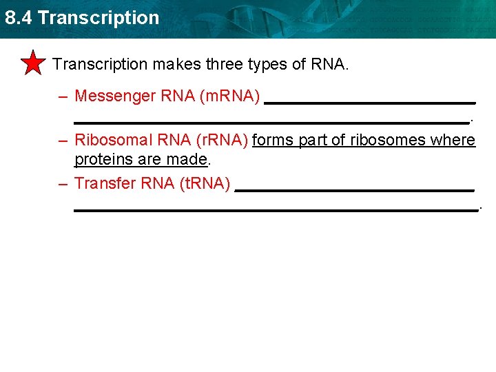 8. 4 Transcription • Transcription makes three types of RNA. – Messenger RNA (m.