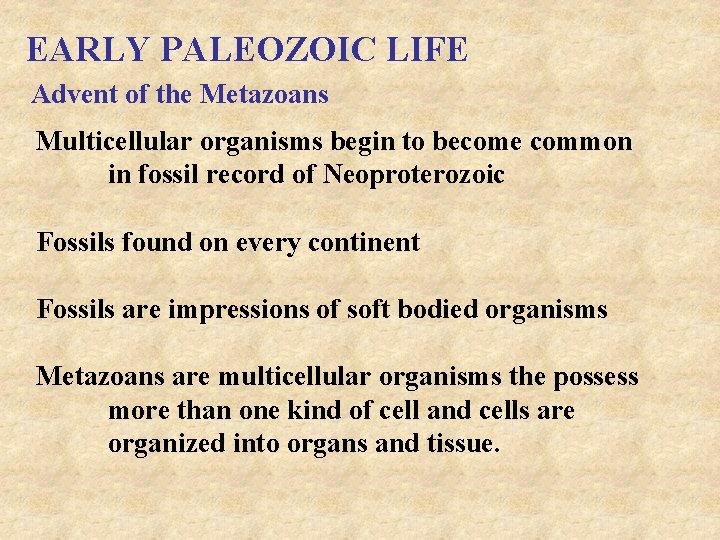 EARLY PALEOZOIC LIFE Advent of the Metazoans Multicellular organisms begin to become common in