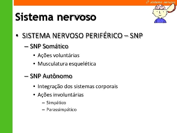 O sistema nervoso Sistema nervoso • SISTEMA NERVOSO PERIFÉRICO – SNP Somático • Ações