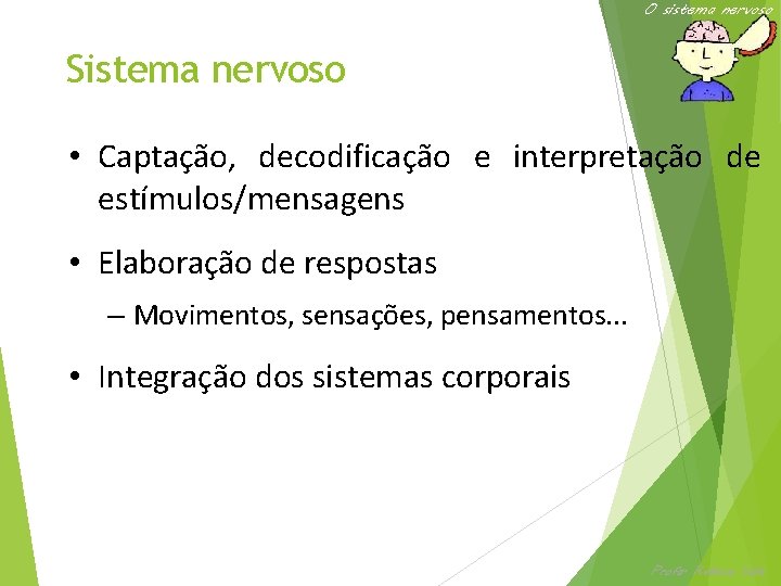 O sistema nervoso Sistema nervoso • Captação, decodificação e interpretação de estímulos/mensagens • Elaboração