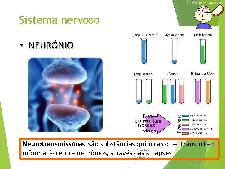 O sistema nervoso Sistema nervoso • NEURÔNIO Neurotransmissores são substâncias químicas que transmitem informação