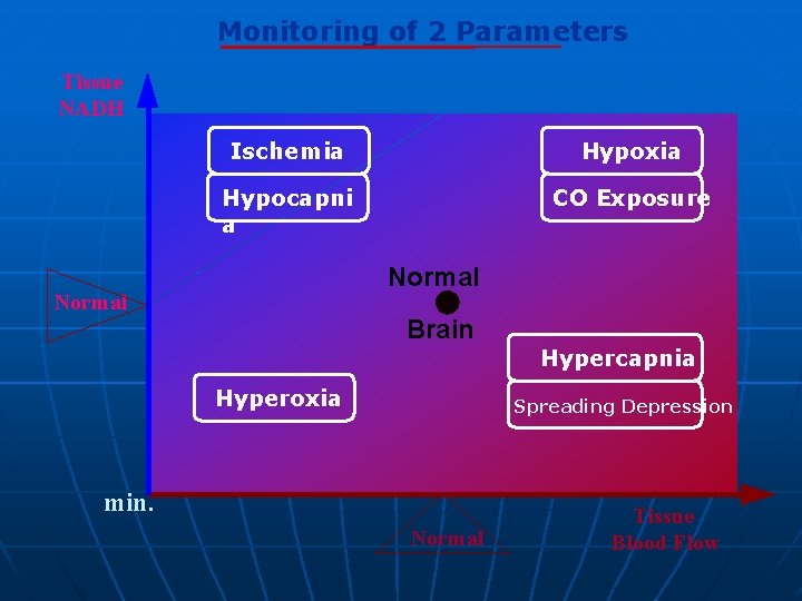 Monitoring of 2 Parameters Tissue NADH Ischemia Hypoxia Hypocapni a CO Exposure Normal Brain