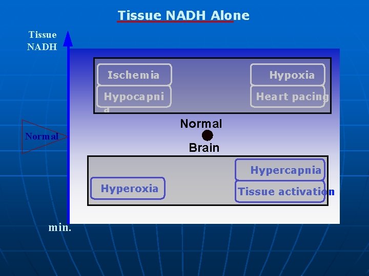 Tissue NADH Alone Tissue NADH Ischemia Hypoxia Hypocapni a Heart pacing Normal Brain Hypercapnia