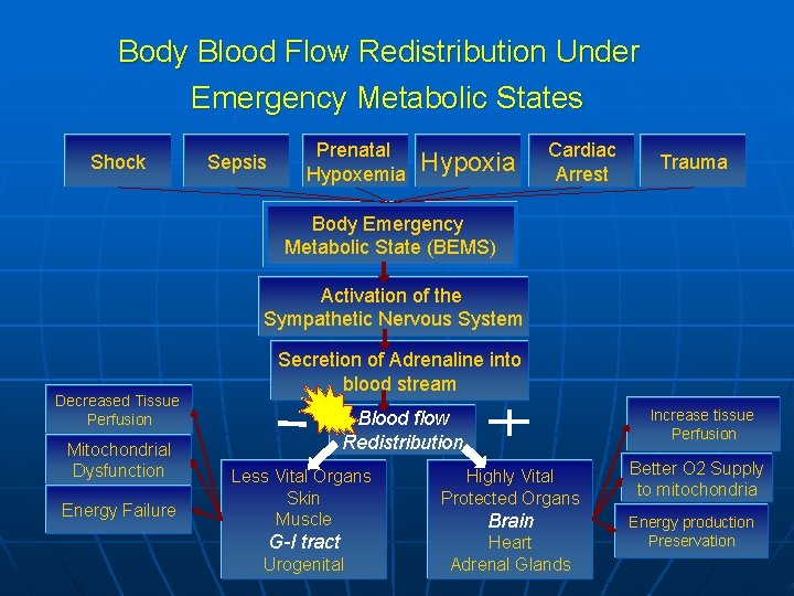 Body Blood Flow Redistribution Under Emergency Metabolic States Shock Sepsis Prenatal Hypoxemia Hypoxia Cardiac