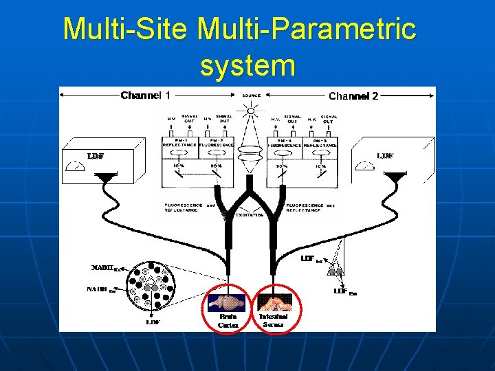 Multi-Site Multi-Parametric system 