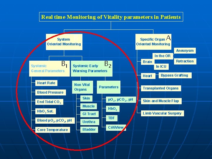 Real time Monitoring of Vitality parameters in Patients A B System Oriented Monitoring Specific