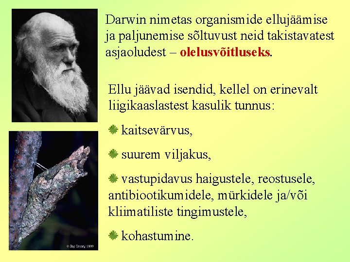 Darwin nimetas organismide ellujäämise ja paljunemise sõltuvust neid takistavatest asjaoludest – olelusvõitluseks. Ellu jäävad