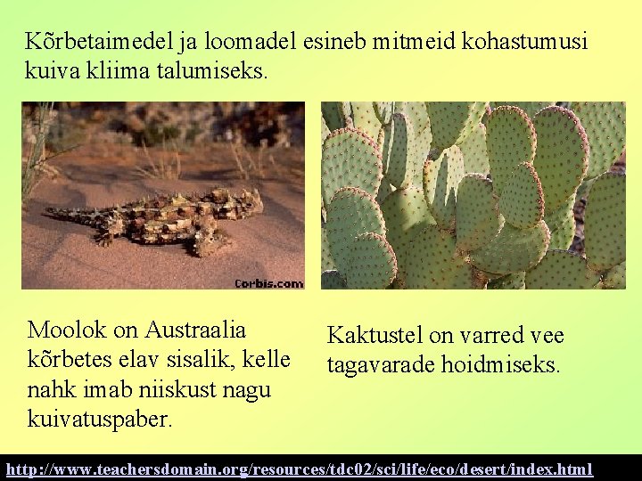 Kõrbetaimedel ja loomadel esineb mitmeid kohastumusi kuiva kliima talumiseks. Moolok on Austraalia kõrbetes elav