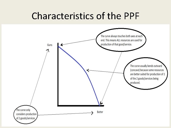 Characteristics of the PPF 
