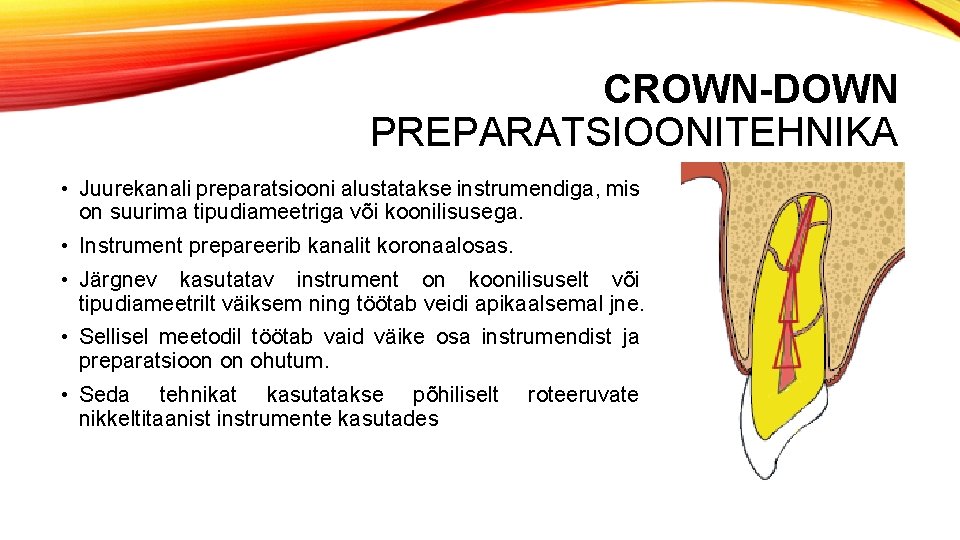 CROWN-DOWN PREPARATSIOONITEHNIKA • Juurekanali preparatsiooni alustatakse instrumendiga, mis on suurima tipudiameetriga või koonilisusega. •