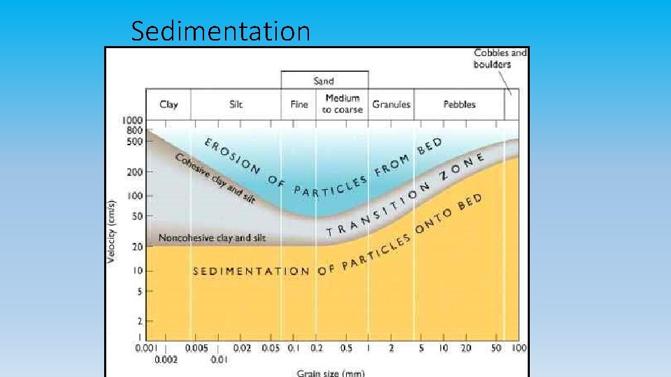 Sedimentation 