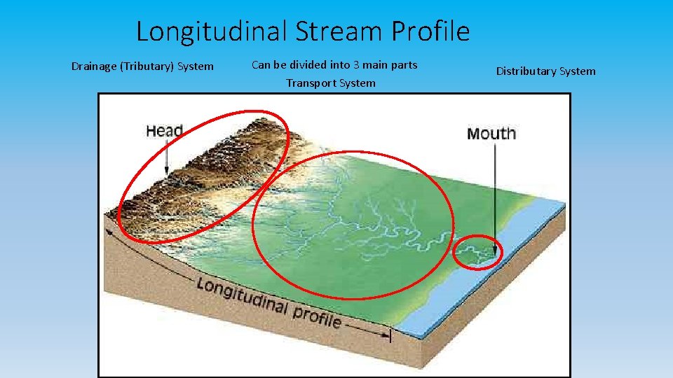 Longitudinal Stream Profile Drainage (Tributary) System Can be divided into 3 main parts Transport