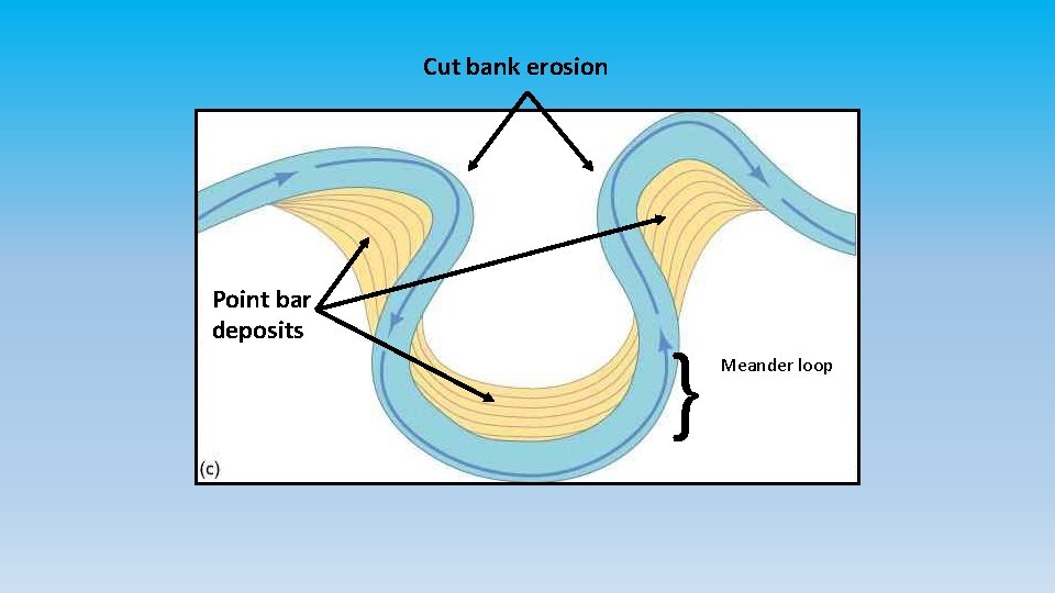 Cut bank erosion Point bar deposits } Meander loop 
