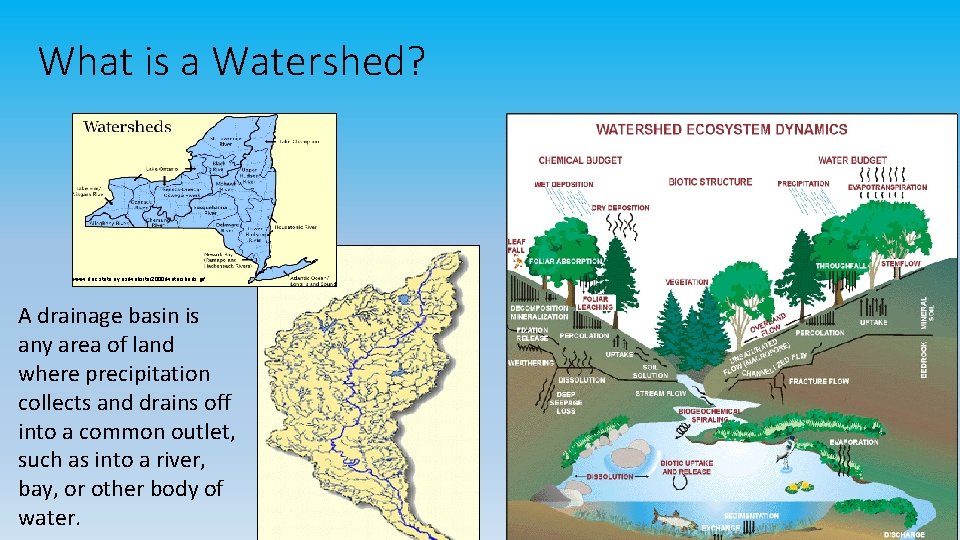 What is a Watershed? www. dec. state. ny. us/website/2000/watersheds. gif A drainage basin is