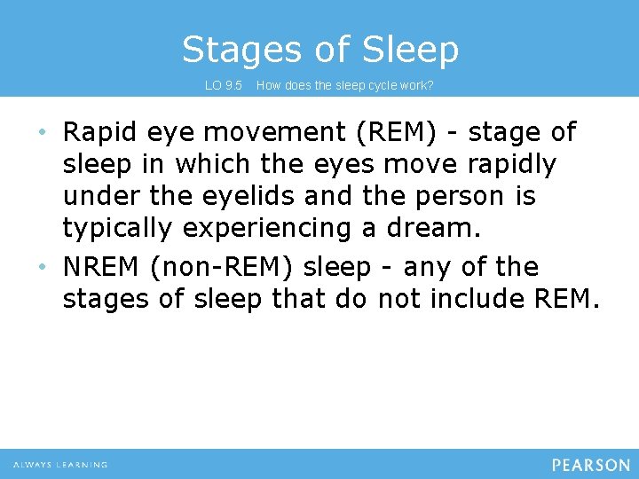 Stages of Sleep LO 9. 5 How does the sleep cycle work? • Rapid