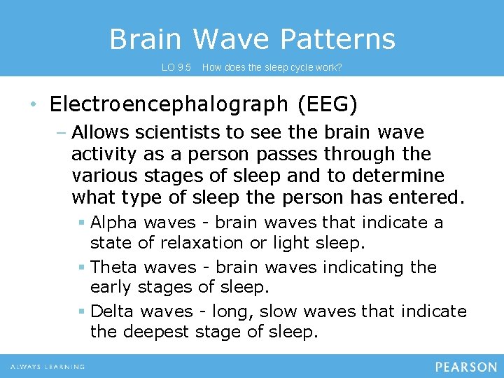 Brain Wave Patterns LO 9. 5 How does the sleep cycle work? • Electroencephalograph