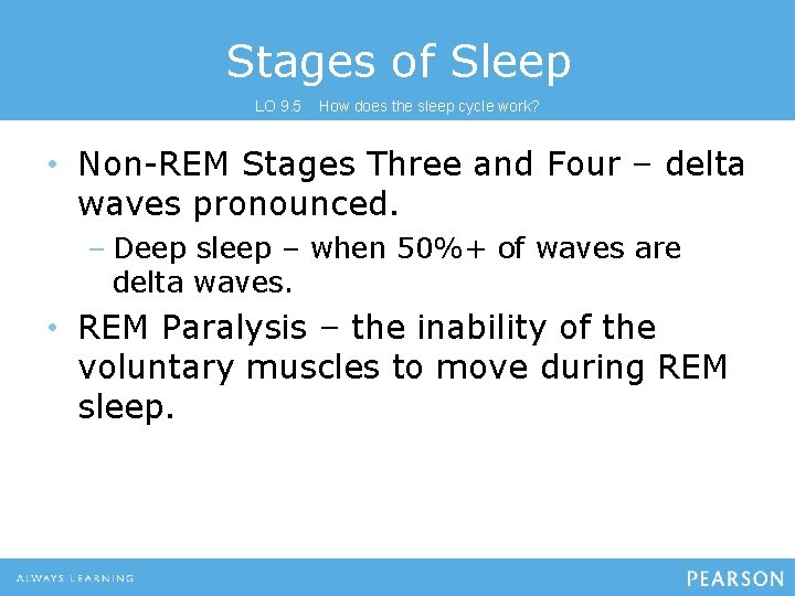 Stages of Sleep LO 9. 5 How does the sleep cycle work? • Non-REM