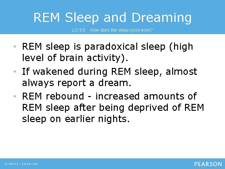 REM Sleep and Dreaming LO 9. 5 How does the sleep cycle work? •