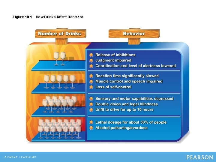 Figure 10. 1 How Drinks Affect Behavior 