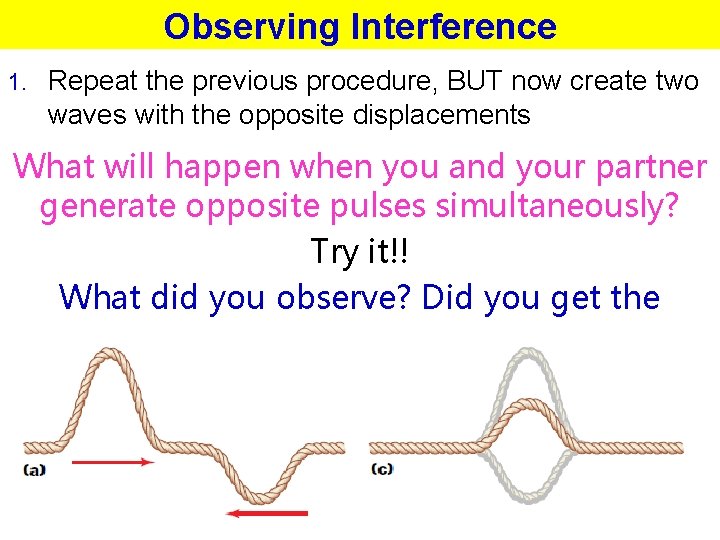 Observing Interference 1. Repeat the previous procedure, BUT now create two waves with the