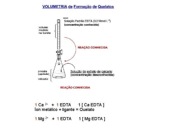 1 Ca 2+ + 1 EDTA 1 [ Ca EDTA ] Íon metálico +