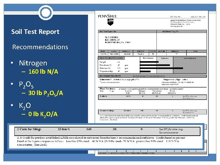 Soil Test Report Recommendations • Nitrogen – 160 lb N/A • P 2 O