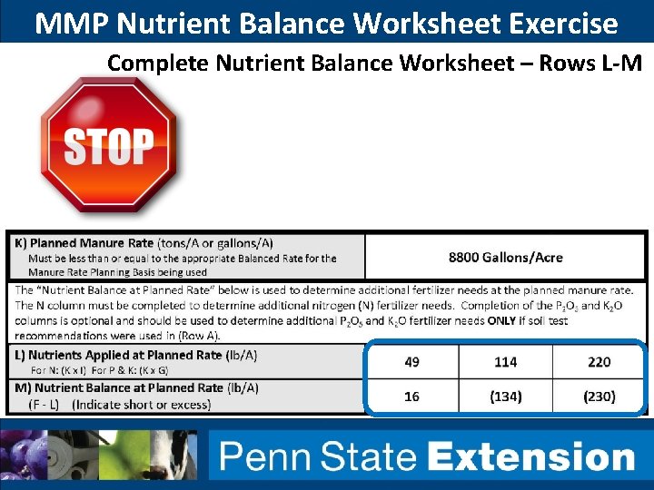 MMP Nutrient Balance Worksheet Exercise Complete Nutrient Balance Worksheet – Rows L-M 