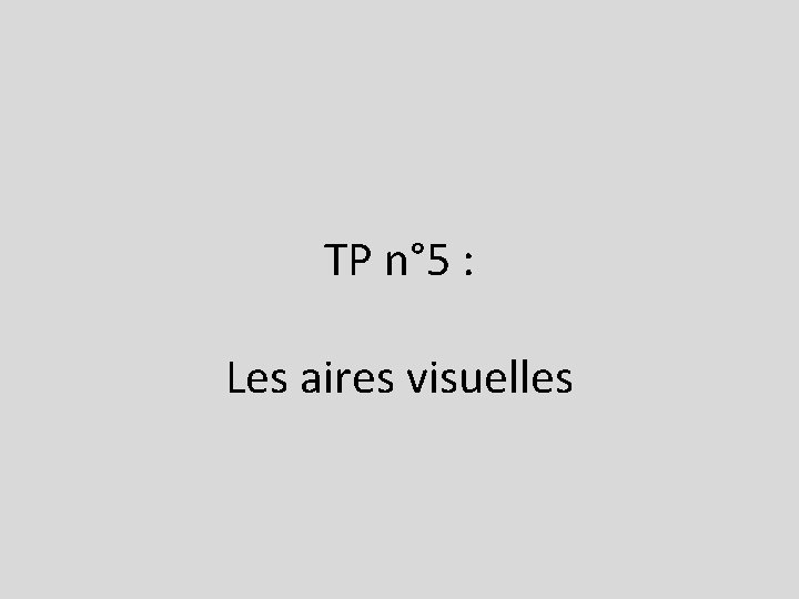 TP n° 5 : Les aires visuelles 