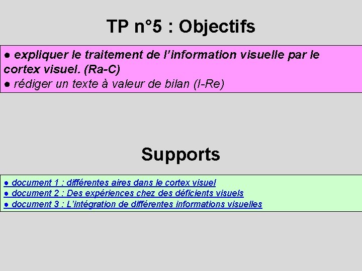 TP n° 5 : Objectifs ● expliquer le traitement de l’information visuelle par le