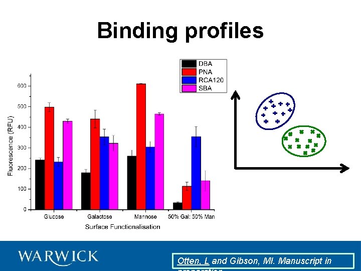 Binding profiles Otten, L and Gibson, MI. Manuscript in 