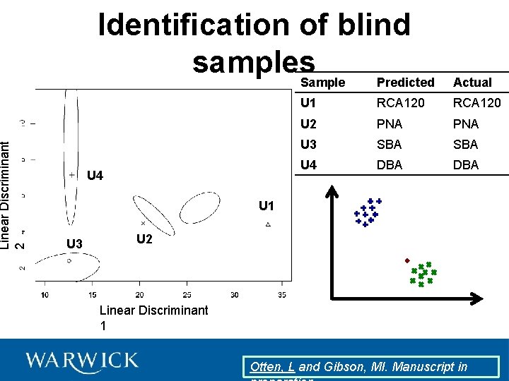 Linear Discriminant 2 Identification of blind samples Sample Predicted U 4 Actual U 1