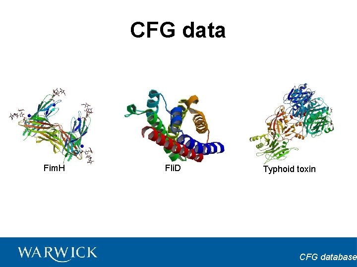 CFG data Fim. H Fli. D Typhoid toxin CFG database 