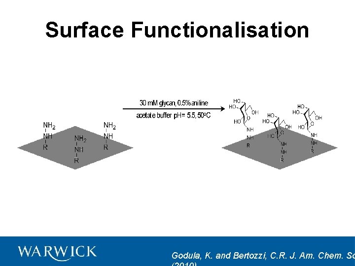 Surface Functionalisation Godula, K. and Bertozzi, C. R. J. Am. Chem. So 