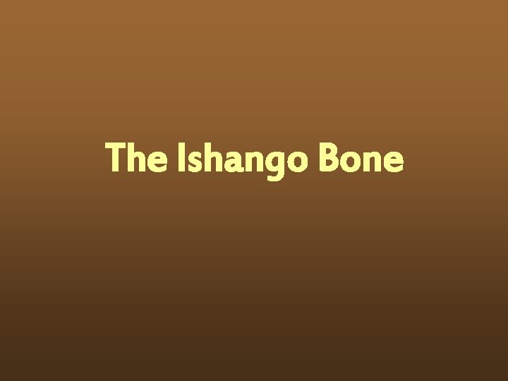 The Ishango Bone 