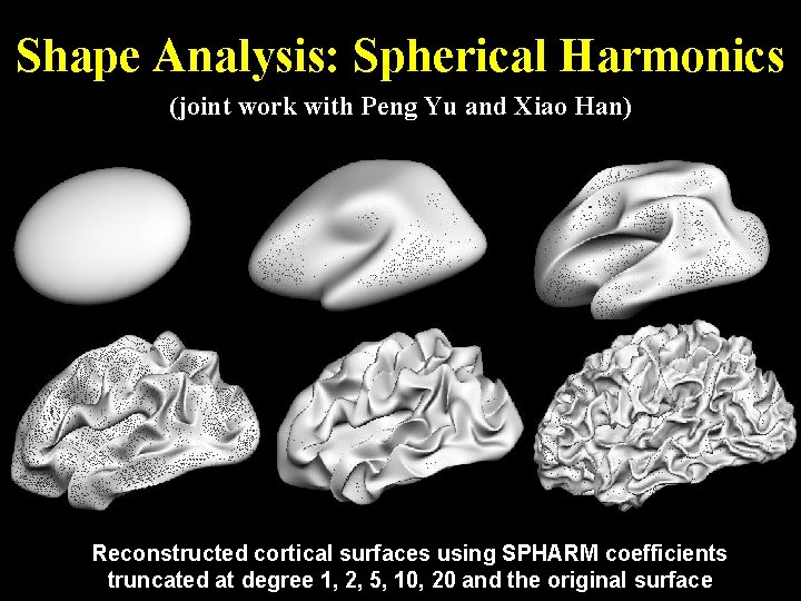Shape Analysis: Spherical Harmonics (joint work with Peng Yu and Xiao Han) Reconstructed cortical