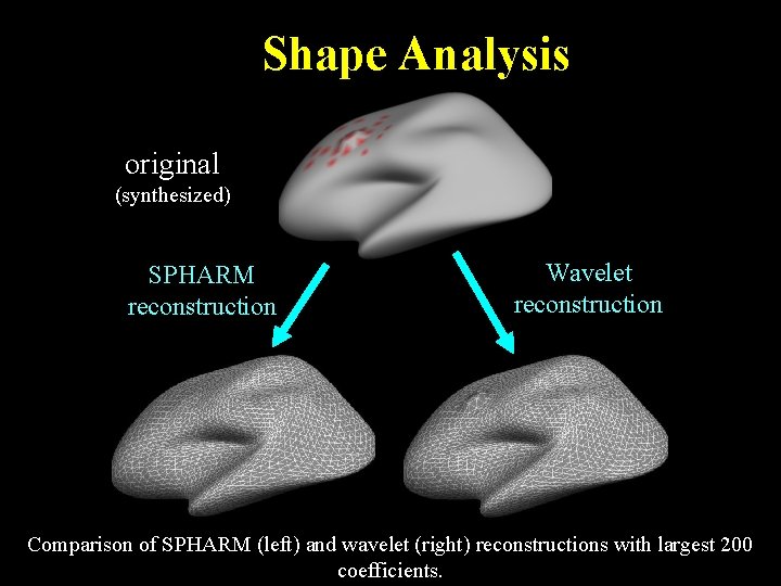 Shape Analysis original (synthesized) SPHARM reconstruction Wavelet reconstruction Comparison of SPHARM (left) and wavelet