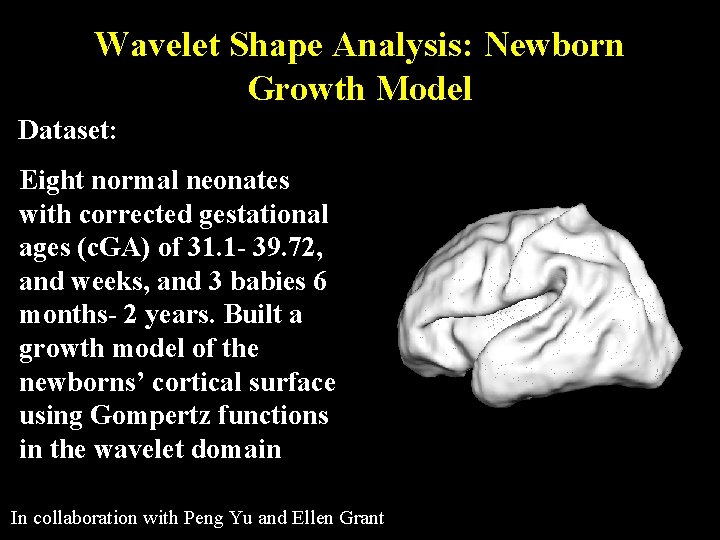 Wavelet Shape Analysis: Newborn Growth Model Dataset: Eight normal neonates with corrected gestational ages