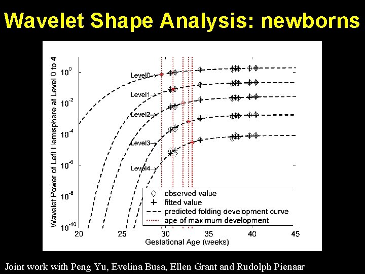 Wavelet Shape Analysis: newborns Joint work with Peng Yu, Evelina Busa, Ellen Grant and