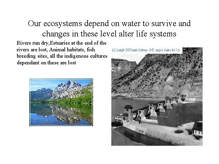 Our ecosystems depend on water to survive and changes in these level alter life