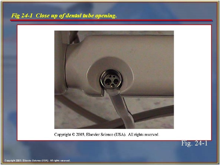 Fig 24 -1 Close up of dental tube opening. Fig. 24 -1 Copyright 2003, Fig 24 -1 Close up of dental tube opening. Fig. 24 -1 Copyright 2003,