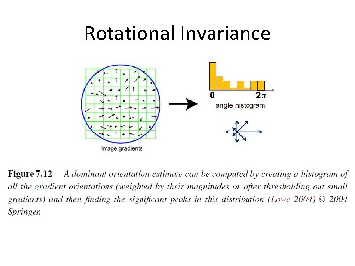 Rotational Invariance 