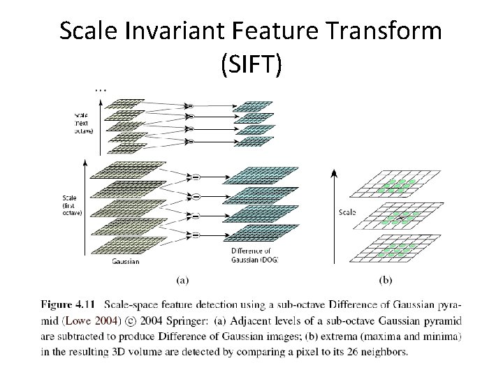 Scale Invariant Feature Transform (SIFT) 